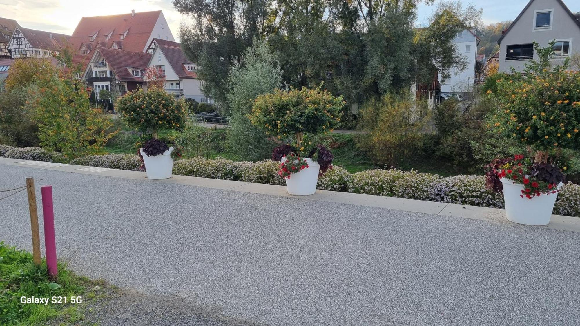 Schlafzimmer 1 Mit Top Aussicht Ueber Weilstetten 바링엔 외부 사진